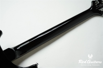 SE CUSTOM 24 - BG